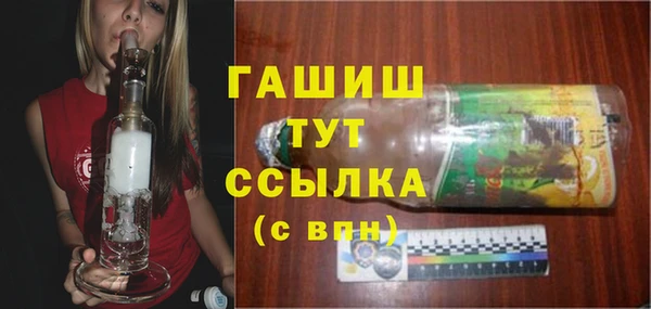 стаф Гусев
