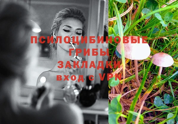 apvp Гусь-Хрустальный