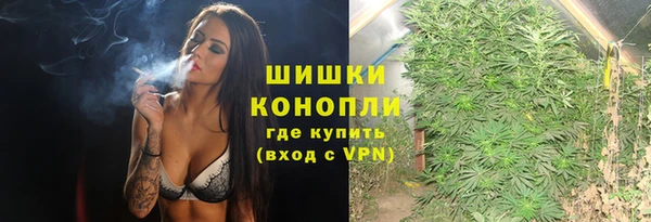apvp Гусь-Хрустальный