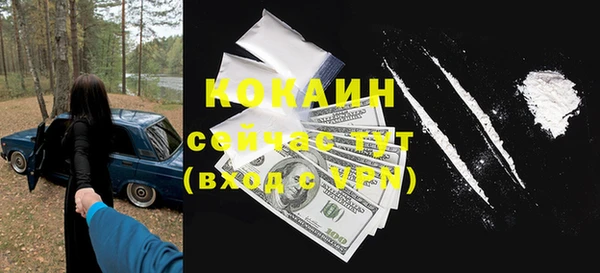 стаф Гусев