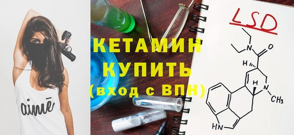 стаф Гусев