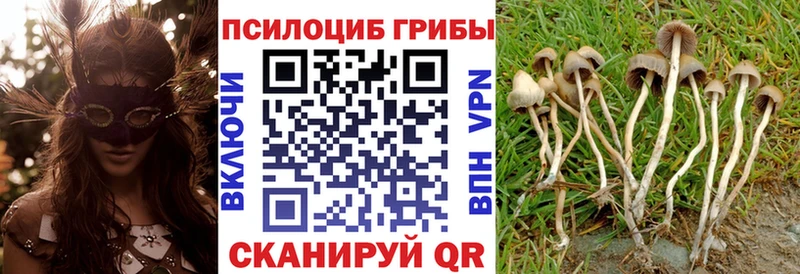Галлюциногенные грибы мухоморы даркнет телеграм Яхрома